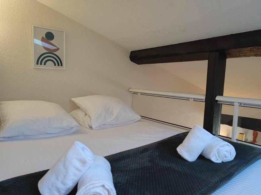Apartamento Charme De Victor Conciergeriedamecarcas Carcasona Exterior foto